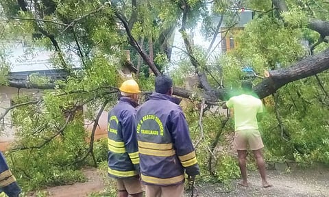 குமரி மாவட்டத்தில் 8 மணி நேரம் இடைவிடாது கொட்டிய மழை: மயிலாடியில் 14 சென்டிமீட்டர் மழை பதிவு