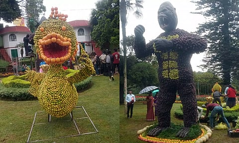 கனிகளை கொண்டு உருவாக்கப்பட்டு இருந்த விலங்குகளின் உருவங்களை காணலாம்.