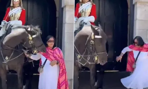 போட்டோ எடுக்கச் சென்று குதிரையிடம் குத்து வாங்கிய பெண்- வீடியோ வைரல்