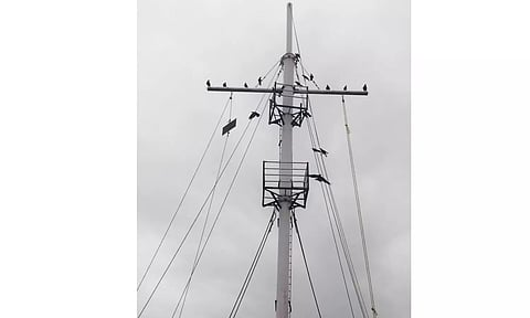 கடலூர் துறைமுகத்தில் 1-ம் எண் புயல் எச்சரிக்கை கூண்டு ஏற்றம்