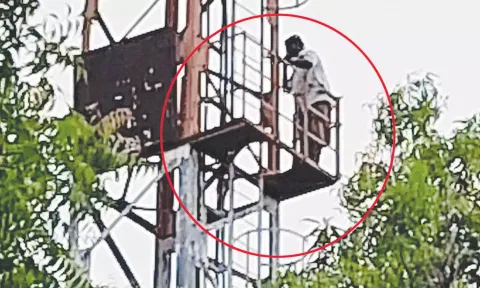 செல்போன் டவரில் ஏறி விவசாயி திடீர் போராட்டம்