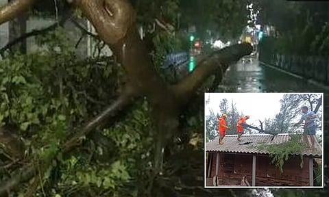 "ரீமால்" புயலின் கோரத்தாண்டவம் : மரங்கள் வேரோடு சாய்ந்தன- லட்சக்கணக்கான மக்கள் மின்சாரமின்றி தவிப்பு