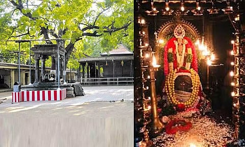 வளர்ந்து கொண்டே இருக்கும் சேர்மன் அருணாசல சுவாமி கோவில் லிங்கம்