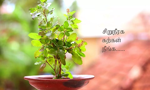 சிறுநீரகக்கற்கள் நீங்க...