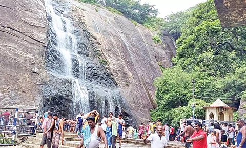 பழைய குற்றாலத்தில் இன்று மிதமான தண்ணீரில் சுற்றுலா பயணிகள் குளித்த காட்சி.