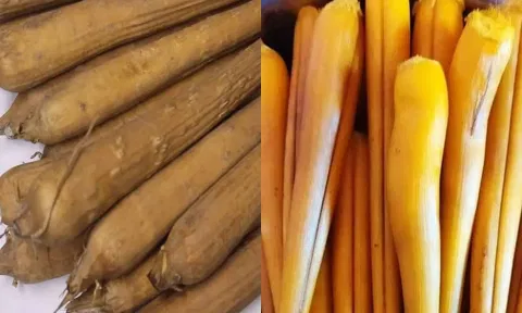 ஆண்மையை அதிகரிக்க உதவும் பனங்கிழங்கு