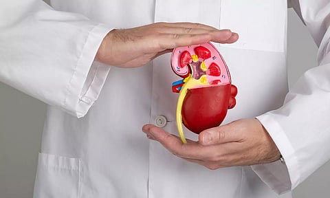 சிறுநீரகத்தை பாதுகாப்பது எப்படி?