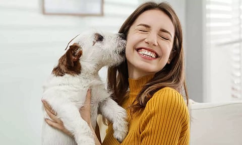 நாய்கள் ஏன் மனிதர்களை நாவால் வருடுகிறது என்பது உங்களுக்கு தெரியுமா...?