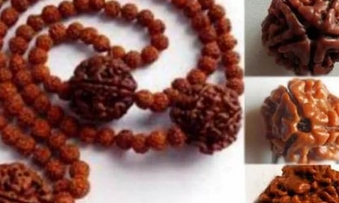 பெண்கள் ருத்ராட்சத்தை அணியலாமா?