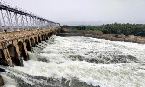 நெல்லை மாவட்ட விவசாயத்திற்கு கை கொடுத்த கோடை மழை: அணைகளின் நீர்மட்டம் உயர்வு