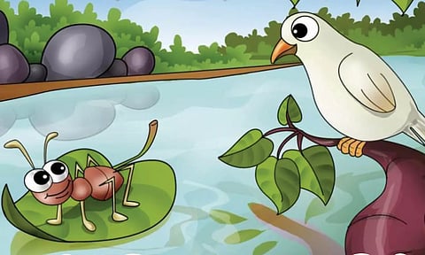 ஆன்மிக வாழ்வில் அழகிய புறாக்கள்