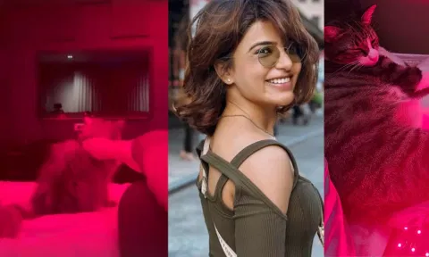செல்லப் பூனையுடன் ரெட் லைட் தெரபி எடுத்துக்கொண்ட சமந்தா.. வைரல் வீடியோ