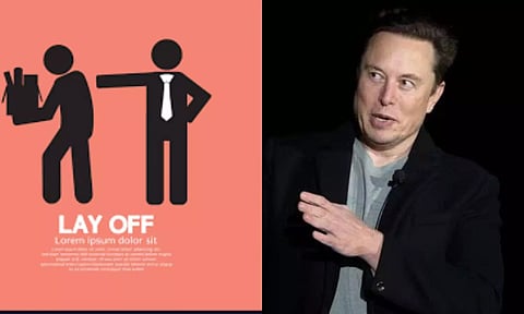 பணிநீக்கம்: எல்லாத்துக்கும் காரணம் எலான் மஸ்க் தான்.. வெளியான புது தகவல்