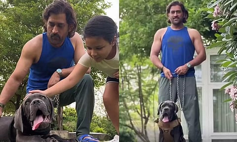 மகள் மற்றும் வளர்ப்பு நாயுடன் 'தல' டோனி தந்தையர் தின வாழ்த்து- வீடியோ வைரல்