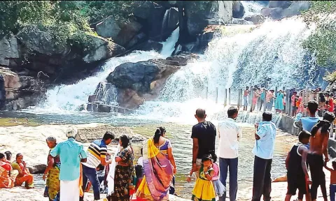 பக்ரீத் பண்டிகை: உடுமலை பஞ்சலிங்க அருவியில் குளிக்க சுற்றுலாப் பயணிகள் குவிந்தனர்