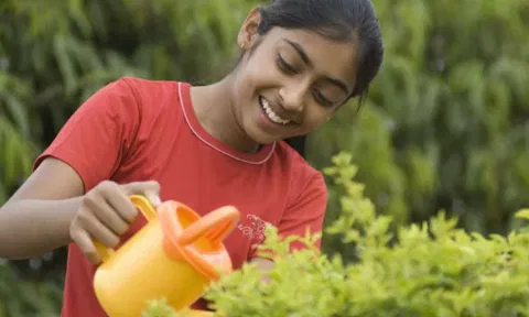 வீட்டில் கட்டாயம் வளர்க்க வேண்டிய மூலிகை வகைகள்...