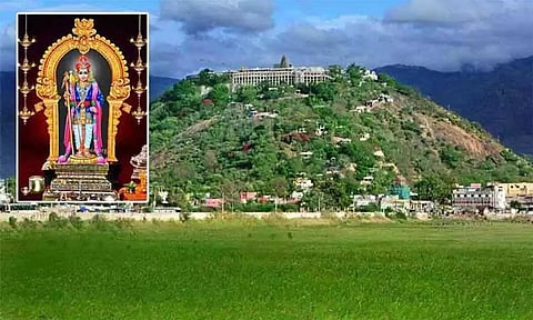 பழனி கோவிலின் முப்பரிமாண காட்சியை பார்க்க சிறப்பு வசதி