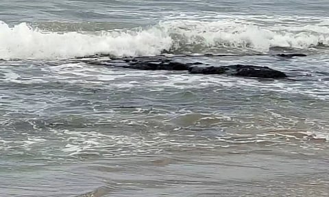 கடல் உள்வாங்கியதால் பாறைகள் வெளியே தெரிந்த காட்சி.