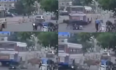 நொடியில் பிரிந்த உயிர்.. சாலையில் சென்றவரை முட்டித் தூக்கிய காளைகள் - பரபரப்பு வீடியோ