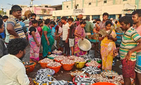 காசிமேட்டில் பெரிய வகை மீன்கள் விற்பனைக்கு குவிந்தது