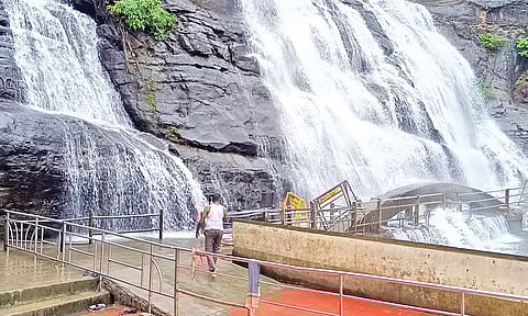 நீர் வரத்து அதிகரிப்பு: குற்றாலம் அருவிகளில் குளிக்க 2-வது நாளாக தடை