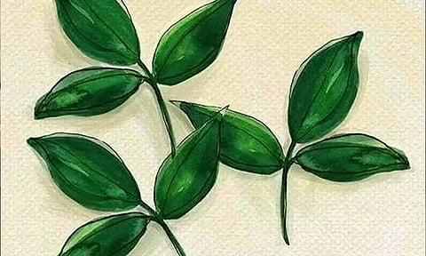 எட்டு வகை மலர்கள் சாத்தப்படும் இடங்கள்