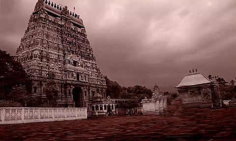 கையில் மாம்பழம் ஏந்திய கோலத்தில் மாம்பழ விநாயகர்