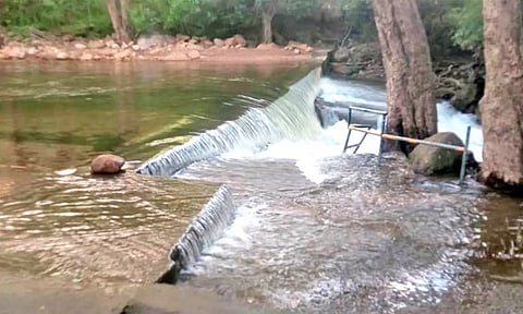 மழை குறைந்ததால் களக்காடு தலையணையில் சுற்றுலாப் பயணிகள் குளிக்க அனுமதி