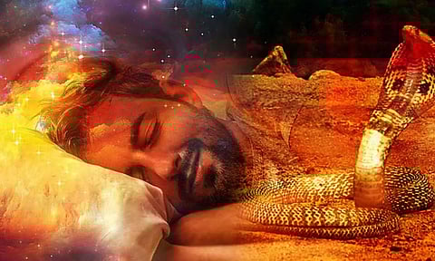 Snake Dream Meaning: பாம்பு  கனவில் வந்தால் நல்லதா? அதற்கு செல்ல வேண்டிய கோவில்கள்...