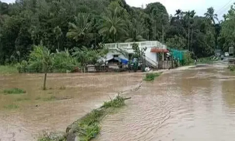 கூடலூர், பந்தலூரில் கொட்டி தீர்த்த கனமழை: 10-க்கும் மேற்பட்ட வீடுகள் சேதம்