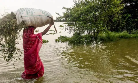 அசாமில் மழைக்கு 22 லட்சம் பேர் பாதிப்பு