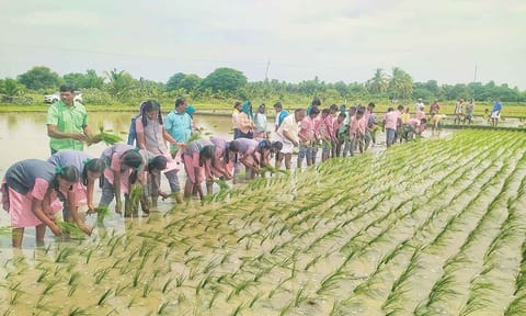 தஞ்சையில் நாட்டுப்புற பாடல் பாடியபடி உற்சாகமாக நாற்று நட்ட மாணவ- மாணவிகள்