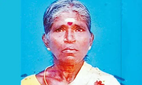 குடும்ப தகராறில் மூதாட்டி கத்தியால் குத்திக்கொலை- கணவர் கைது