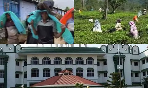 மாஞ்சோலை தொழிலாளர்களை வெளியேற்ற தடை நீட்டிப்பு- உயர்நீதிமன்ற மதுரை கிளை உத்தரவு