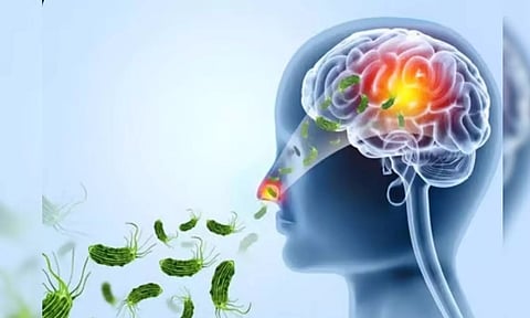 கேரளாவில் அமீபிக் மூளைக்காய்ச்சலுக்கு மேலும் ஒரு சிறுவன் பாதிப்பு