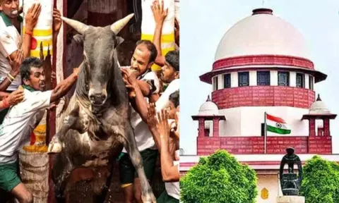 ஜல்லிக்கட்டு மனுவை விசாரிக்க `பீட்டா' மீண்டும் முறையீடு