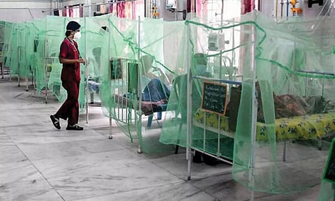 டெங்கு, காலரா பரவல் தீவிரம்- ஒரே நாளில் காய்ச்சலுக்கு 11 பேர் பலி