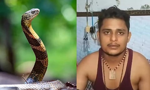 40 நாட்களில் 7 முறை பாம்புக் கடி.. சனி ஞாயிறில் மட்டுமே கடிக்கும்.. இளைஞரின் கனவில் சொன்னது என்ன?