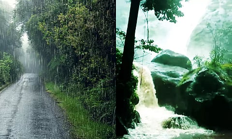 மழை - ஆரியங்காவு பாலருவி பகுதியில் வெள்ளம் கரைபுரண்டு ஓடுவதை காணலாம்.