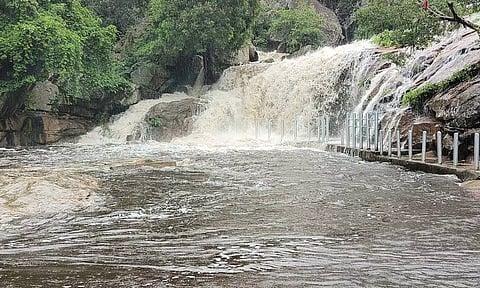 உடுமலை பஞ்சலிங்க அருவியில் தண்ணீர் ஆர்ப்பரித்து கொட்டுவதை காணலாம்.