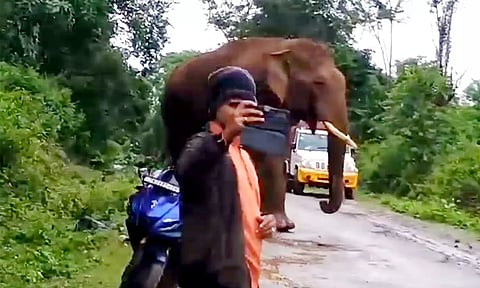 வாகனங்களை வழிமறித்த காட்டுயானை: ஆபத்தை உணராமல் செல்பி எடுத்த வாகன ஓட்டிகள்