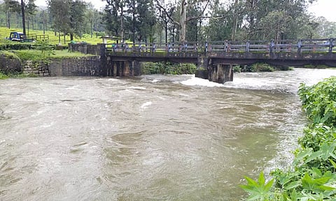 வால்பாறையில் பெய்து வரும் கனமழையால் நடுமலையாறில் வெள்ளம் பெருக்கெடுத்து ஓடுவதை படத்தில் காணலாம்.
