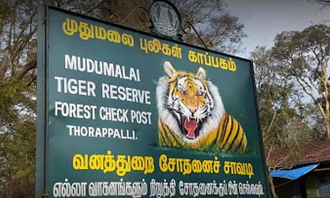 தொடர் கனமழை எதிரொலி: முதுமலை புலிகள் காப்பகம் இன்று முதல் 3 நாட்களுக்கு மூடல்