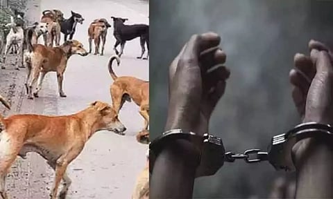 மொபட்டில் நாயை கட்டி இழுத்து சென்ற வாலிபர்: பொதுமக்கள் அதிர்ச்சி