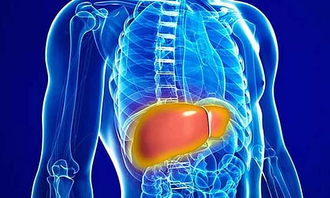 கல்லீரல் பாதிப்பும்... அறிகுறிகளும்...