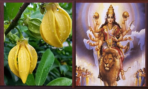 பவானி பராசக்திக்குப் படைக்கும் மலர்களும் பலன்களும்