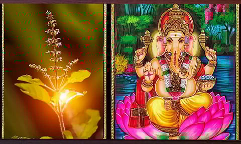 இந்த தெய்வங்களுக்கு இந்த மலர்கள் பயன்படுத்தாதீர்கள்!