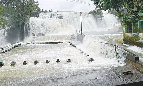 திற்பரப்பு அருவியில் குளிக்க தடை