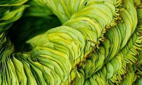 வெற்றிலை போடுவதால் நன்மையா? தீமையா?