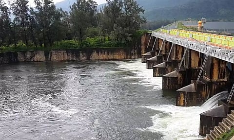 மாஞ்சோலை வனப்பகுதியில் சாரல் மழை: கடனா அணை நீர்மட்டம் 78 அடியை எட்டியது